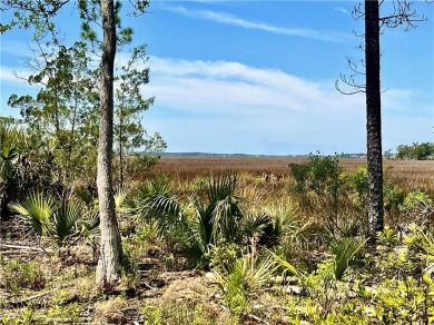 One of the last full marsh homesites available in the gated on The Club At Osprey Cove in Georgia - for sale on GolfHomes.com, golf home, golf lot
