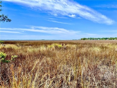 One of the last full marsh homesites available in the gated on The Club At Osprey Cove in Georgia - for sale on GolfHomes.com, golf home, golf lot