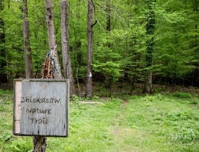 Nestled in the picturesque foothills of the Blue Ridge Mountains on The Trail At Chickasaw Pointe in South Carolina - for sale on GolfHomes.com, golf home, golf lot