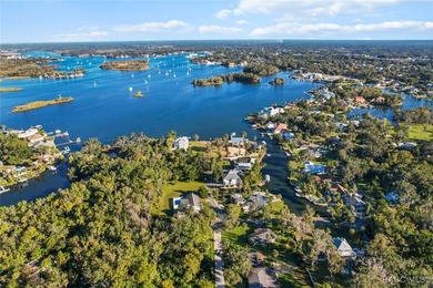 Come build the house of your dreams with the most amazing view on Plantation Inn and Golf Resort  in Florida - for sale on GolfHomes.com, golf home, golf lot