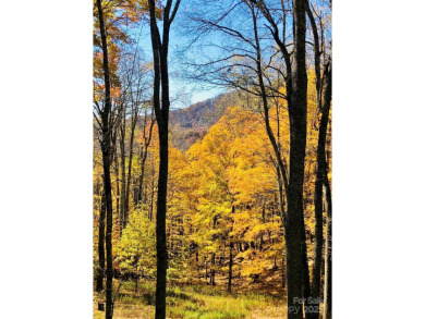 Secluded mountain cabin on three lots totaling 2.74 acres with on Wolf Laurel Country Club in North Carolina - for sale on GolfHomes.com, golf home, golf lot