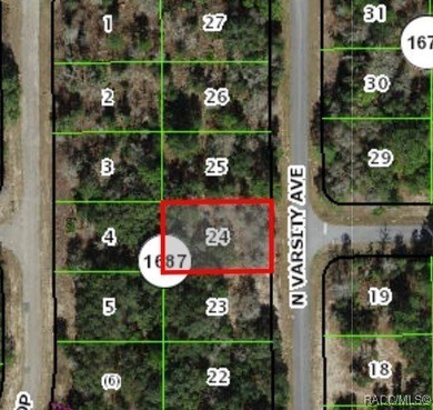 Buildable lot in Citrus Springs (Seller will not accept any on Citrus Springs Country Club in Florida - for sale on GolfHomes.com, golf home, golf lot