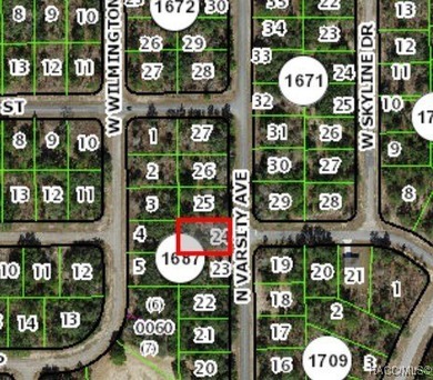 Buildable lot in Citrus Springs (Seller will not accept any on Citrus Springs Country Club in Florida - for sale on GolfHomes.com, golf home, golf lot