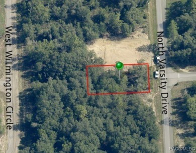 Buildable lot in Citrus Springs (Seller will not accept any on Citrus Springs Country Club in Florida - for sale on GolfHomes.com, golf home, golf lot