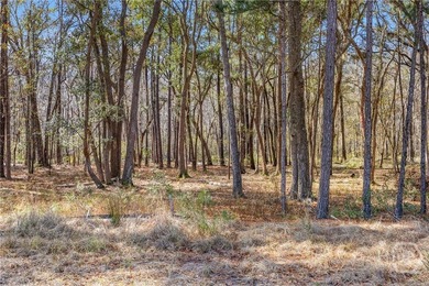 Build your custom dream home in the gated community of Westbrook on Savannah Quarters Country Club in Georgia - for sale on GolfHomes.com, golf home, golf lot