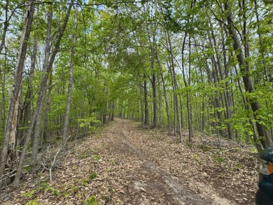 17 acres, the south/road-side is 3.5 acres of open meadow. It on Black Bear Golf Club in Michigan - for sale on GolfHomes.com, golf home, golf lot