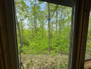 17 acres, the south/road-side is 3.5 acres of open meadow. It on Black Bear Golf Club in Michigan - for sale on GolfHomes.com, golf home, golf lot