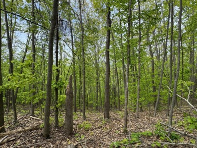 17 acres, the south/road-side is 3.5 acres of open meadow. It on Black Bear Golf Club in Michigan - for sale on GolfHomes.com, golf home, golf lot
