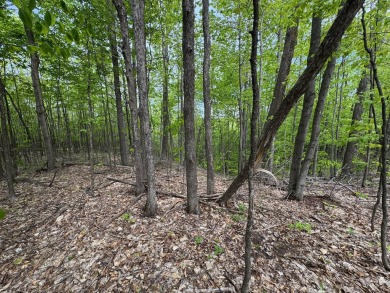 17 acres, the south/road-side is 3.5 acres of open meadow. It on Black Bear Golf Club in Michigan - for sale on GolfHomes.com, golf home, golf lot
