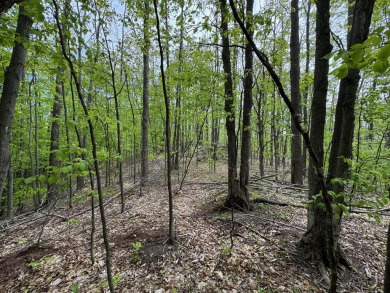 17 acres, the south/road-side is 3.5 acres of open meadow. It on Black Bear Golf Club in Michigan - for sale on GolfHomes.com, golf home, golf lot