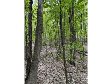 17 acres, the south/road-side is 3.5 acres of open meadow. It on Black Bear Golf Club in Michigan - for sale on GolfHomes.com, golf home, golf lot