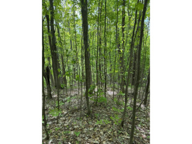 17 acres, the south/road-side is 3.5 acres of open meadow. It on Black Bear Golf Club in Michigan - for sale on GolfHomes.com, golf home, golf lot