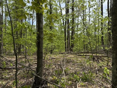 17 acres, the south/road-side is 3.5 acres of open meadow. It on Black Bear Golf Club in Michigan - for sale on GolfHomes.com, golf home, golf lot