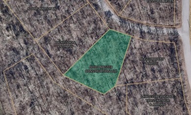 Great .35-acre lot nestled amidst the scenery of the Ozarks on Branchwood Golf Course in Arkansas - for sale on GolfHomes.com, golf home, golf lot