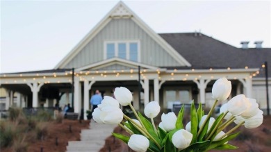 Stunning 2019 Craftsman in Bentwater - Move-In Ready & Packed on Bentwater Golf Club in Georgia - for sale on GolfHomes.com, golf home, golf lot