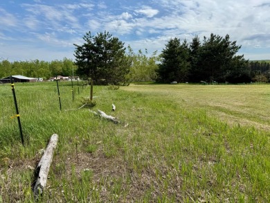 17 acres, the south/road-side is 3.5 acres of open meadow. It on Black Bear Golf Club in Michigan - for sale on GolfHomes.com, golf home, golf lot