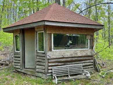 17 acres, the south/road-side is 3.5 acres of open meadow. It on Black Bear Golf Club in Michigan - for sale on GolfHomes.com, golf home, golf lot