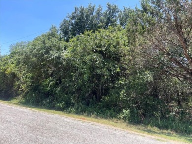 Perfect lot to build your dream home! Just a few steps away from on White Bluff Resort - New Course in Texas - for sale on GolfHomes.com, golf home, golf lot