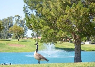 Here is your chance to pick up a reasonably priced 2BR, 2BA home on Sun Lakes Country Club in Arizona - for sale on GolfHomes.com, golf home, golf lot