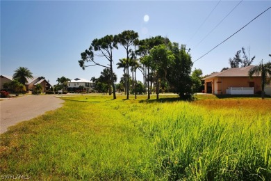 ISLAND LIVING! Rare and unique lot in a well-kept golf course on Alden Pines Golf Club in Florida - for sale on GolfHomes.com, golf home, golf lot