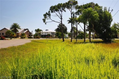 ISLAND LIVING! Rare and unique lot in a well-kept golf course on Alden Pines Golf Club in Florida - for sale on GolfHomes.com, golf home, golf lot