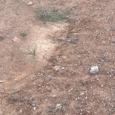 BRAND NEW Phase in Country Club of Arkansas - THE QUARTERS Phase on The Country Club of Arkansas in Arkansas - for sale on GolfHomes.com, golf home, golf lot