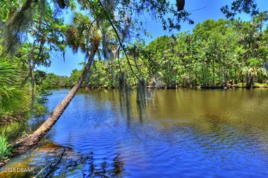 Located on a quiet dead-end street in the guard-gated Spruce on Spruce Creek Golf Club in Florida - for sale on GolfHomes.com, golf home, golf lot