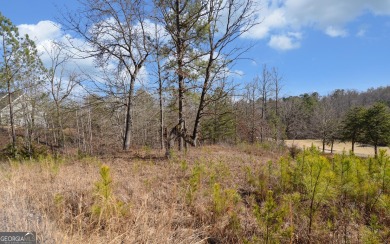 Welcome to 334 Edgewater Trail, a prime .58-acre lot in the on Currahee Golf Club in Georgia - for sale on GolfHomes.com, golf home, golf lot