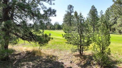 Chase K Girard, Ponderosa Real Estate The Source For Real Estate on The Divide Ranch and Club in Colorado - for sale on GolfHomes.com, golf home, golf lot