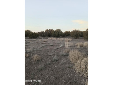 This .23 acre lot is located in the White Mountain Lakes area on Juniper Ridge R.V. Golf Resort in Arizona - for sale on GolfHomes.com, golf home, golf lot