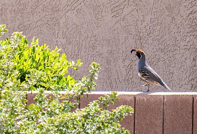 Fantastic Verbena model has a large eat-in kitchen with loads of on Granite Falls Golf Club  in Arizona - for sale on GolfHomes.com, golf home, golf lot