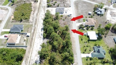 **SIDE-BY-SIDE lots available, with a canal in the back!** Other on Copperhead Golf Club in Florida - for sale on GolfHomes.com, golf home, golf lot