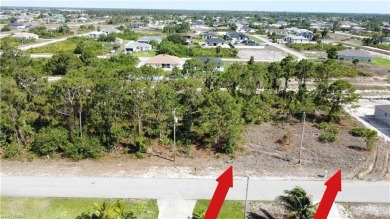 **SIDE-BY-SIDE lots available, with a canal in the back!** Other on Copperhead Golf Club in Florida - for sale on GolfHomes.com, golf home, golf lot
