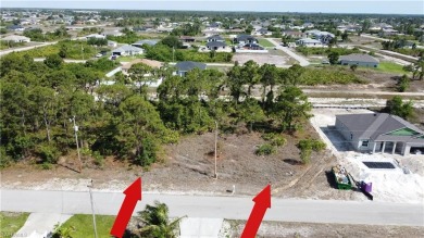 **SIDE-BY-SIDE lots available, with a canal in the back!** Other on Copperhead Golf Club in Florida - for sale on GolfHomes.com, golf home, golf lot