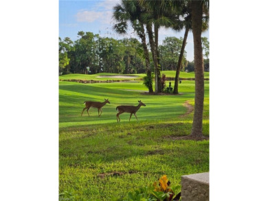 Luxurious Villa with Breathtaking Golf Course & Preserve Views on Lely Resort Golf and Country Club in Florida - for sale on GolfHomes.com, golf home, golf lot