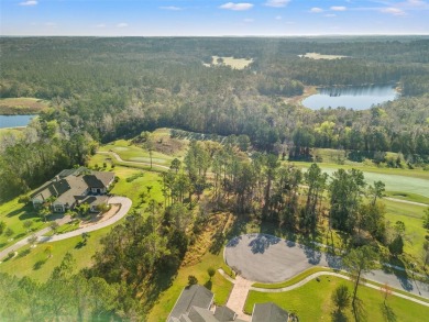 You truly cannot appreciate the magnificent view of this lot on Southern Hills Plantation Club in Florida - for sale on GolfHomes.com, golf home, golf lot