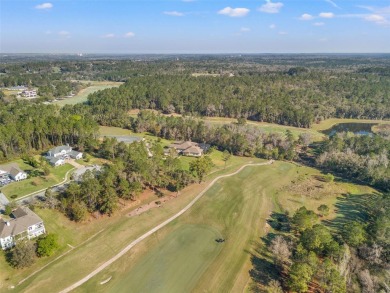 You truly cannot appreciate the magnificent view of this lot on Southern Hills Plantation Club in Florida - for sale on GolfHomes.com, golf home, golf lot