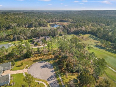 You truly cannot appreciate the magnificent view of this lot on Southern Hills Plantation Club in Florida - for sale on GolfHomes.com, golf home, golf lot