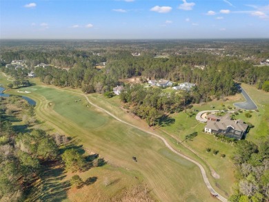 You truly cannot appreciate the magnificent view of this lot on Southern Hills Plantation Club in Florida - for sale on GolfHomes.com, golf home, golf lot