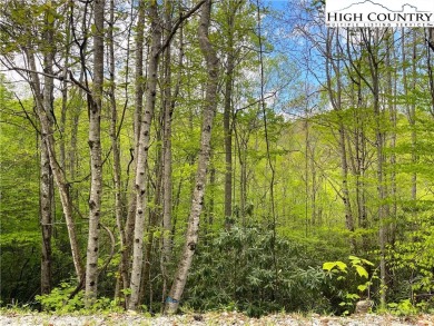 44 acre lot close to Buckeye Recreation Center and Shane Park on Beech Mountain Club in North Carolina - for sale on GolfHomes.com, golf home, golf lot