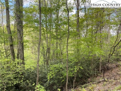44 acre lot close to Buckeye Recreation Center and Shane Park on Beech Mountain Club in North Carolina - for sale on GolfHomes.com, golf home, golf lot