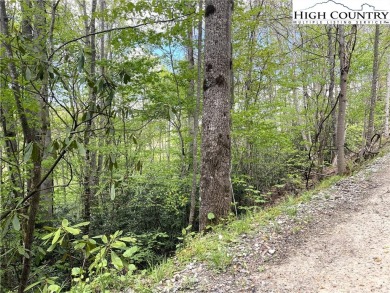 44 acre lot close to Buckeye Recreation Center and Shane Park on Beech Mountain Club in North Carolina - for sale on GolfHomes.com, golf home, golf lot
