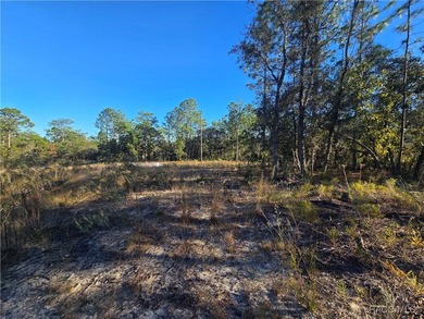 This cleared corner lot on a paved road in beautiful Citrus on Pine Ridge Community Golf and Country Club in Florida - for sale on GolfHomes.com, golf home, golf lot