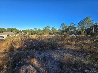 This cleared corner lot on a paved road in beautiful Citrus on Pine Ridge Community Golf and Country Club in Florida - for sale on GolfHomes.com, golf home, golf lot