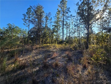 This cleared corner lot on a paved road in beautiful Citrus on Pine Ridge Community Golf and Country Club in Florida - for sale on GolfHomes.com, golf home, golf lot
