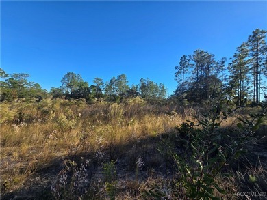 This cleared corner lot on a paved road in beautiful Citrus on Pine Ridge Community Golf and Country Club in Florida - for sale on GolfHomes.com, golf home, golf lot