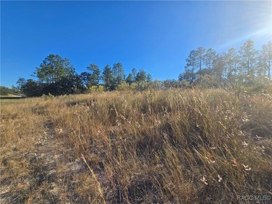 This cleared corner lot on a paved road in beautiful Citrus on Pine Ridge Community Golf and Country Club in Florida - for sale on GolfHomes.com, golf home, golf lot