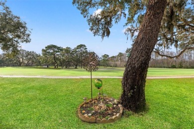 Welcome to 12129 Loblolly Pine Dr, a beautifully maintained on Summertree Golf Course in Florida - for sale on GolfHomes.com, golf home, golf lot