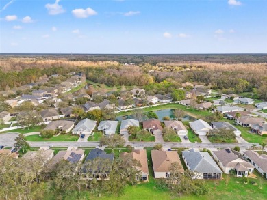 Welcome to 12129 Loblolly Pine Dr, a beautifully maintained on Summertree Golf Course in Florida - for sale on GolfHomes.com, golf home, golf lot