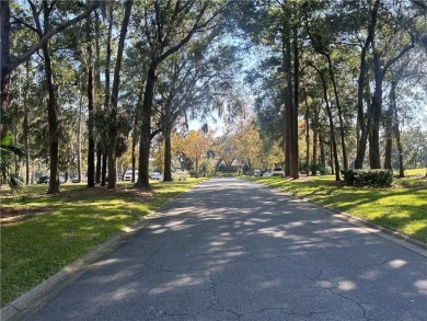 Build your dream home in the prestigious Hampton Plantation, a on The King and Prince Golf Course, Home of the Hampton Club in Georgia - for sale on GolfHomes.com, golf home, golf lot